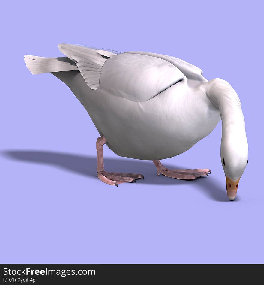 3D rendering of a snow goose with clipping path and shadow over white