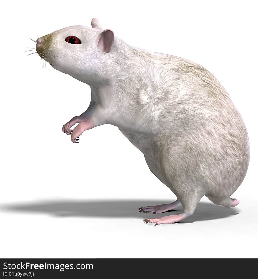 3D rendering of a sweet hamster with clipping path and shadow over white. 3D rendering of a sweet hamster with clipping path and shadow over white