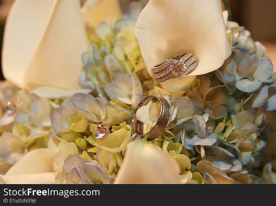 Bride and grooms wedding rings sit in delicate bridal bouquet. Bride and grooms wedding rings sit in delicate bridal bouquet