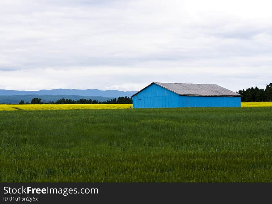 Blue Barn in a field