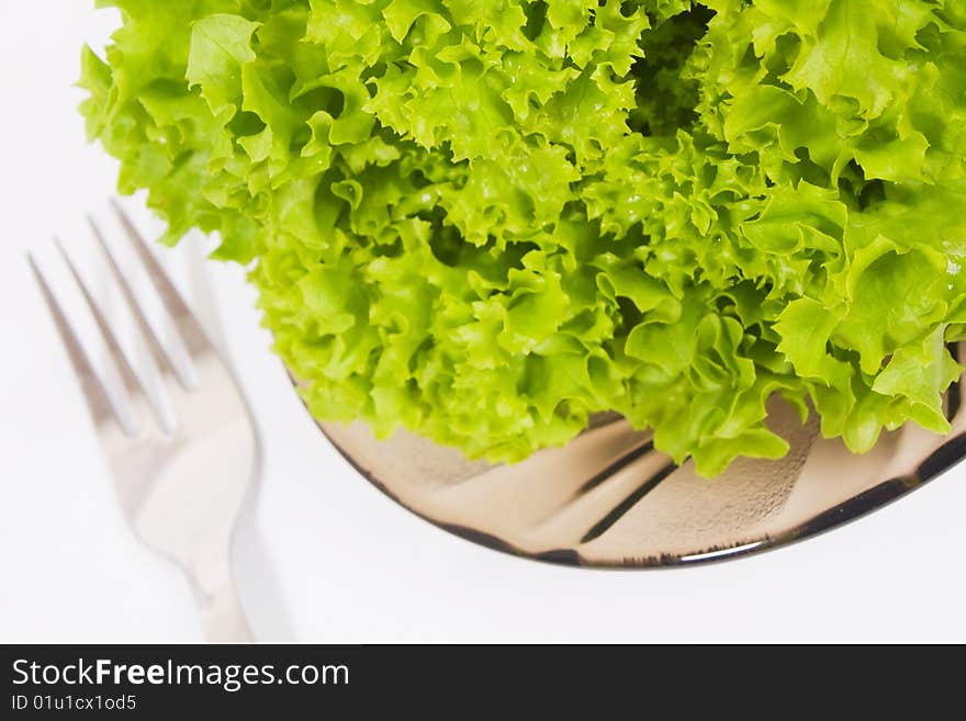 Green salad on a plate. Green salad on a plate.