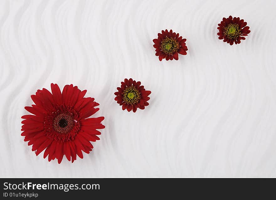 Flowers and sea salt