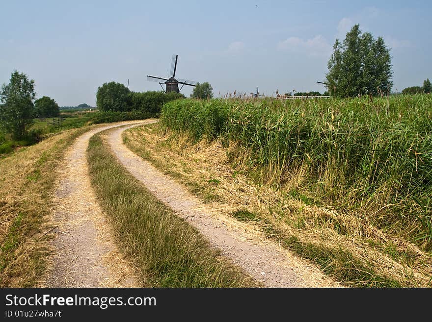 Dutch Windmill