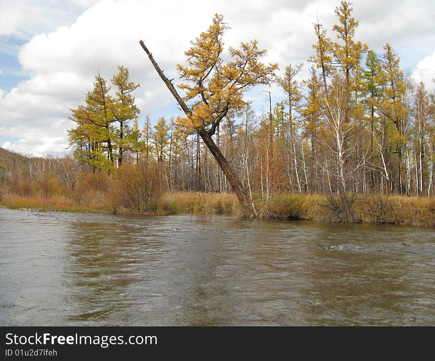 Autumn river (wild nature in Mongolia)