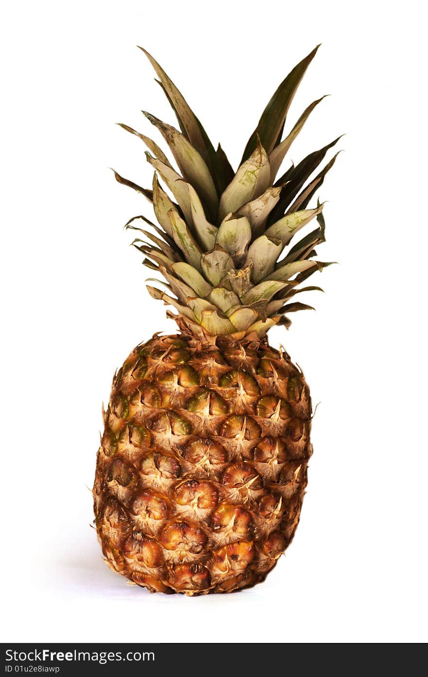 Pineapple