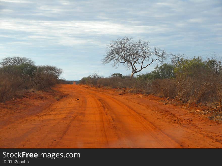 Road of red earth in Kenya. Road of red earth in Kenya