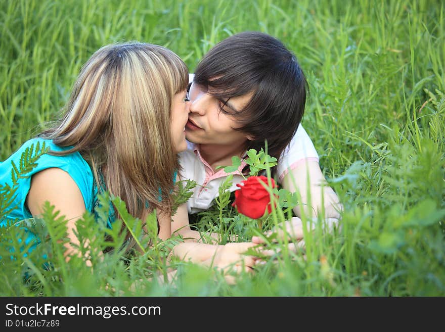 Young Pair Kissing In Grass