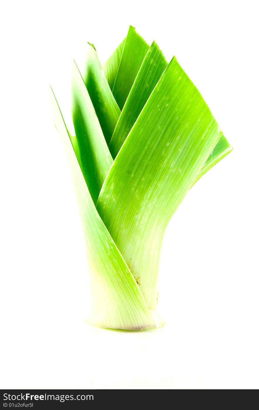 Leek