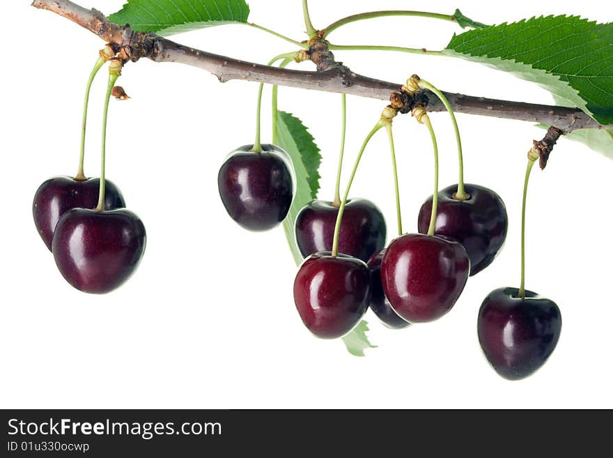 Cherries with leaves on a white background. Cherries with leaves on a white background.