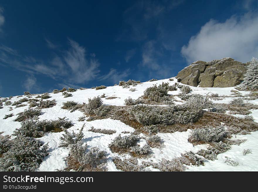 Winter landscape profiled on a deep blue sky