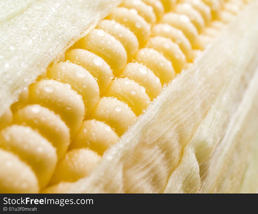 Raw yellow corn closeup background. Raw yellow corn closeup background.