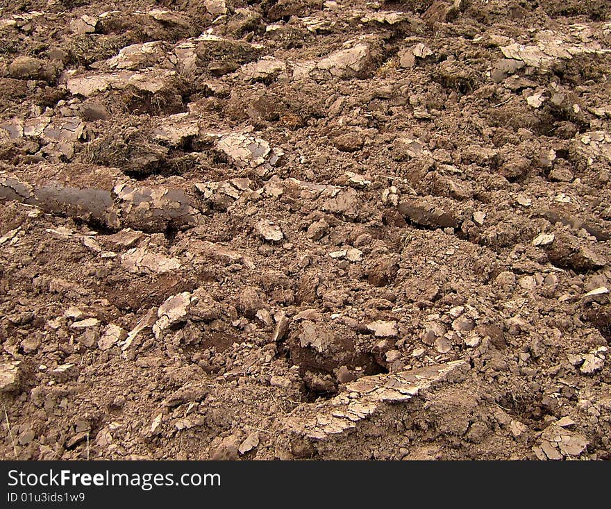 Ploughed field