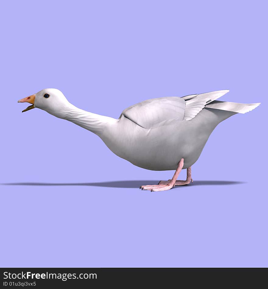 3D rendering of a snow goose with clipping path and shadow over white