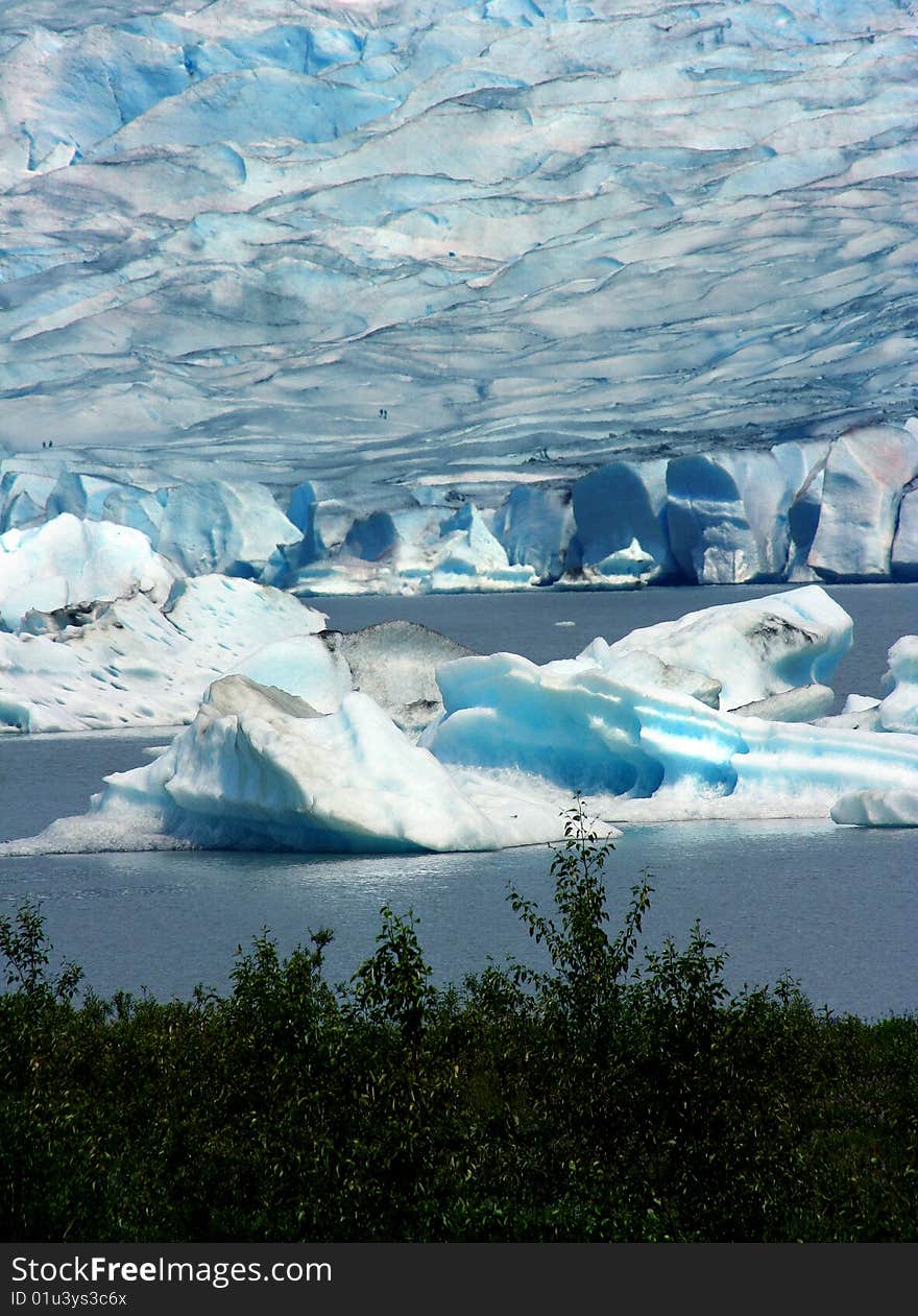 The wall of ice of the Mendenhall glacier, with ice floes in Mendenhall lake. The wall of ice of the Mendenhall glacier, with ice floes in Mendenhall lake