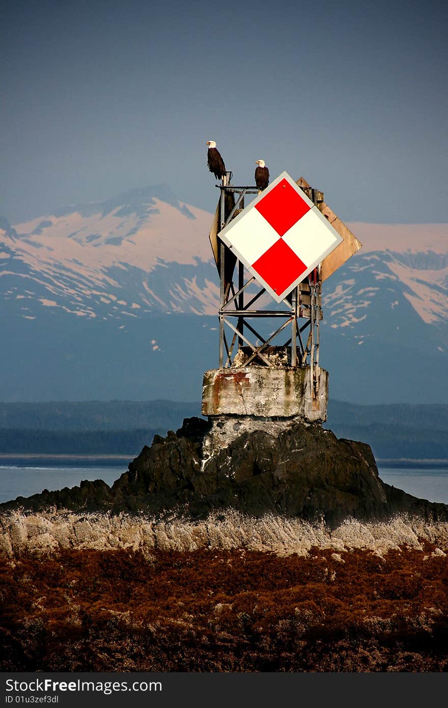 Two Bald eagles sit atop a channel marker in Auke Bay, Alaska. Two Bald eagles sit atop a channel marker in Auke Bay, Alaska