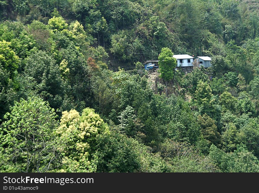 Residing in the midst of lush green forest. Residing in the midst of lush green forest