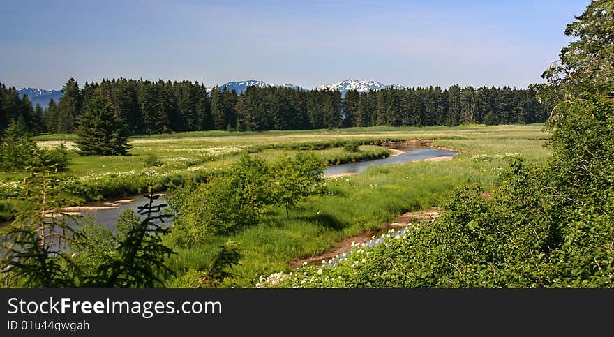 Spasski River valley, Alaska