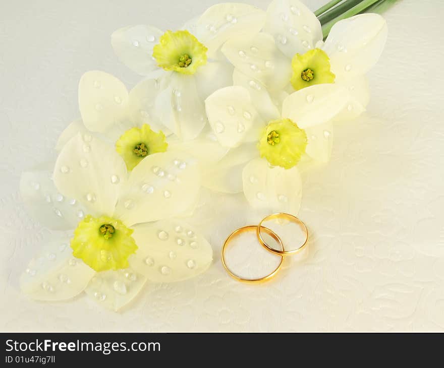 Wedding rings with flowers narcissus