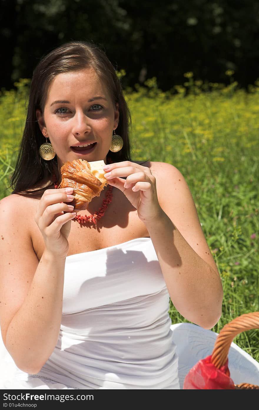 Young Attractive Woman Having A Picknick