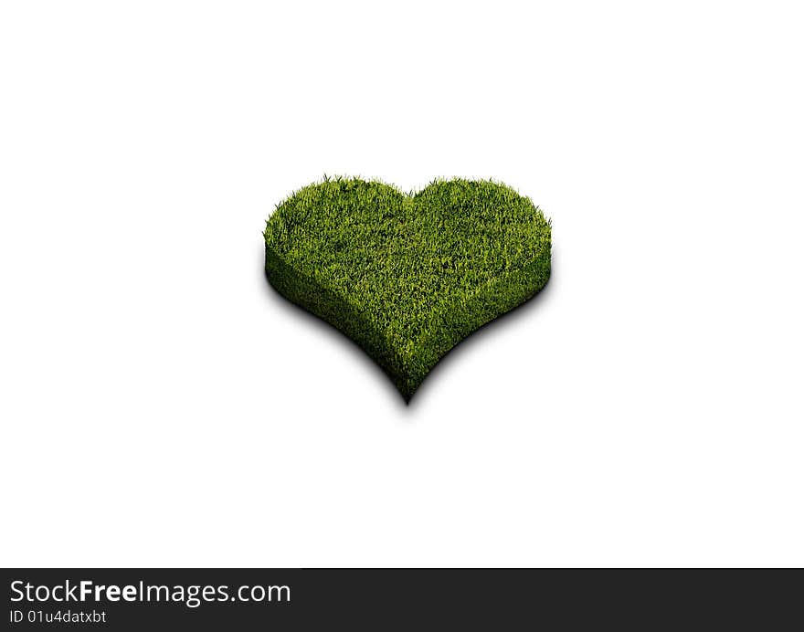 Beautiful Heart of Grass isolated on white background