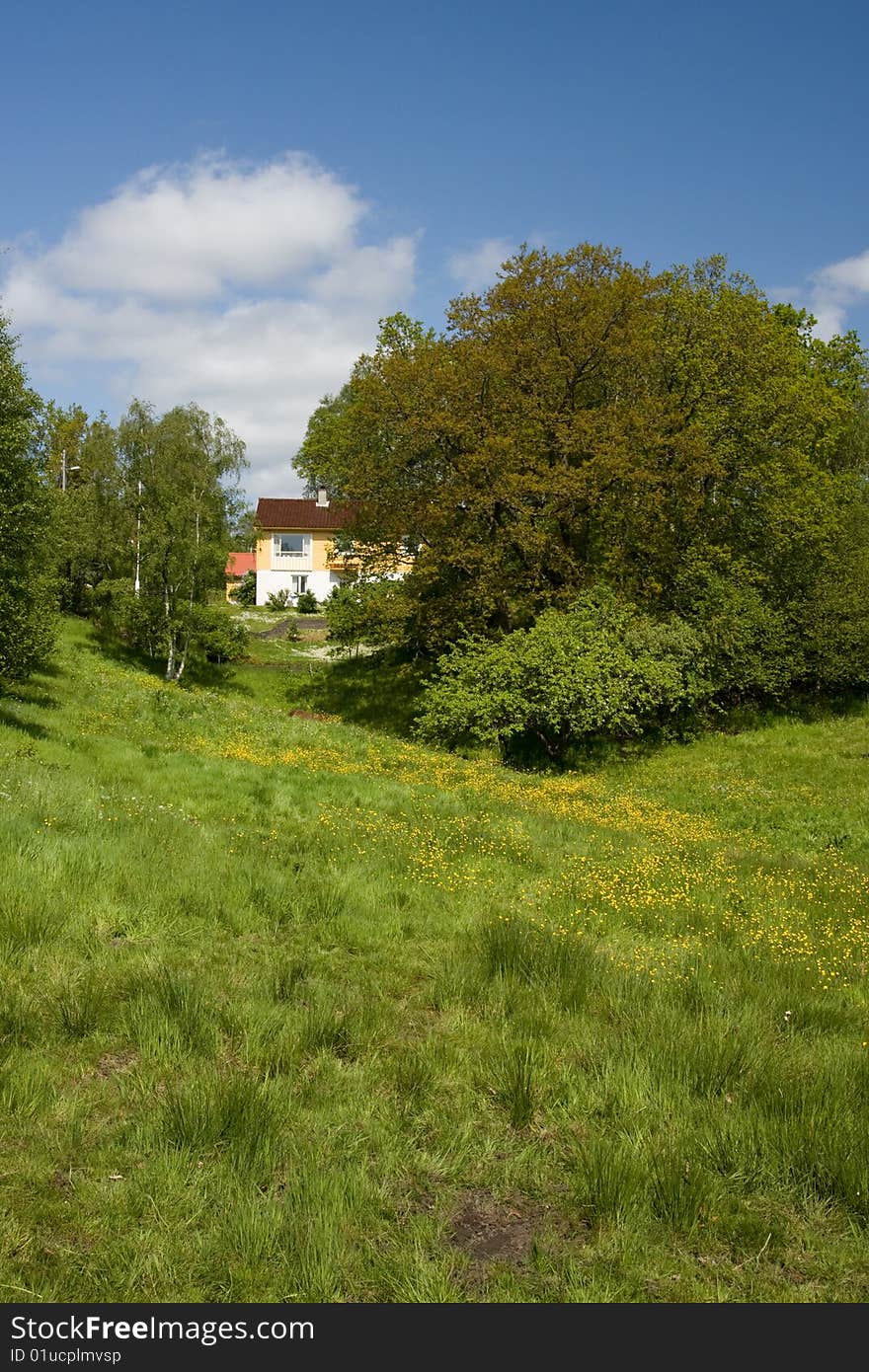 House on the lawn