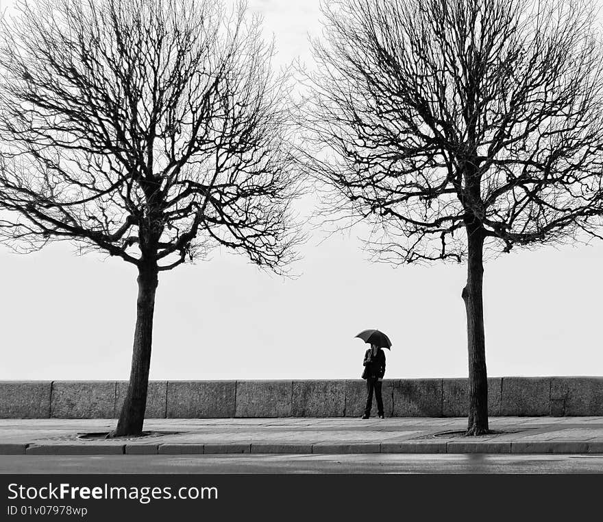 Young man with umbrella among two trees