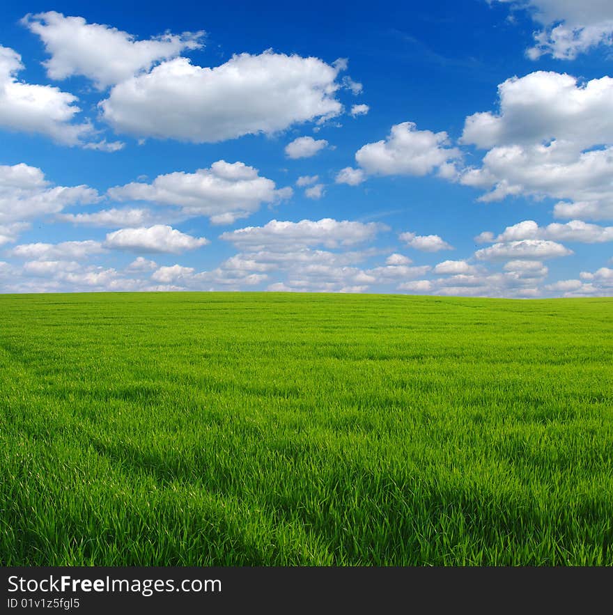 Green grass, the blue sky and white clouds. Green grass, the blue sky and white clouds