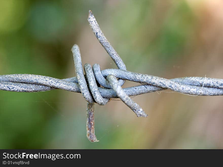 Close up of barbed wire fence with shallow DOF