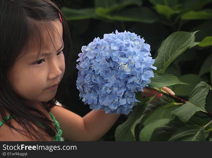 Asian Chinese Girl Holding Flower