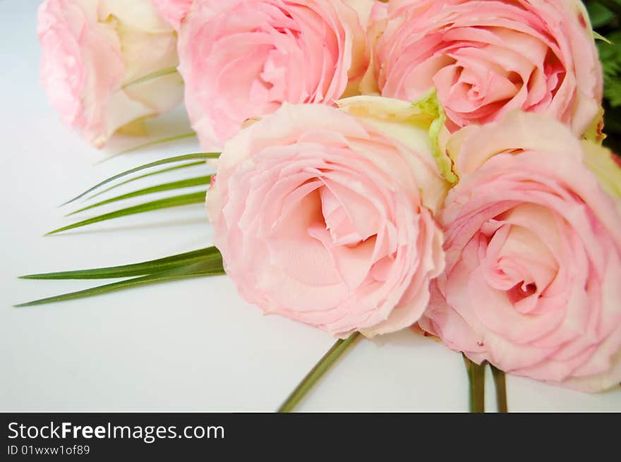 Bouquet of tender pink roses lying