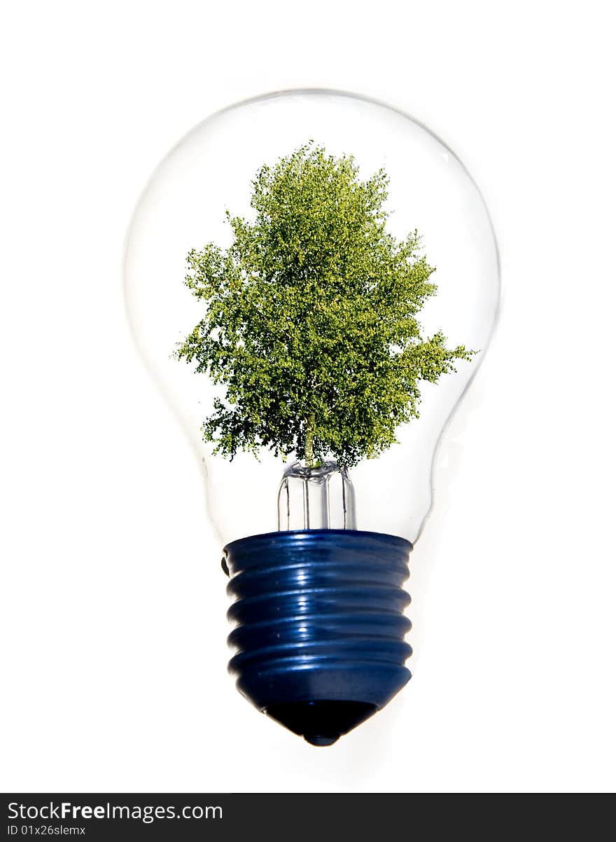 Tree in light bulb symbolizing green energy