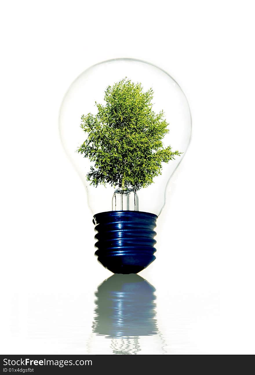 Tree in light bulb symbolizing green energy