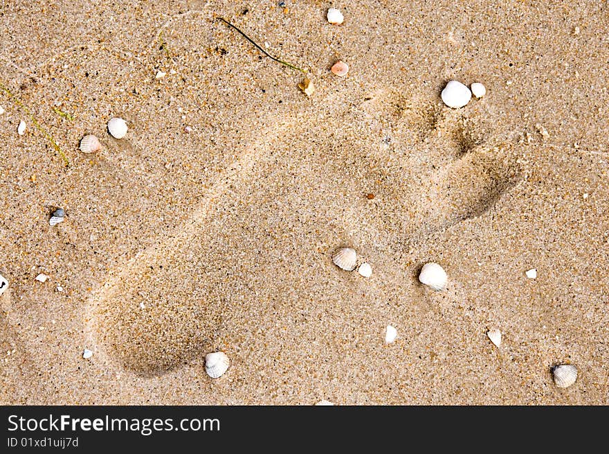 Footprint on sand with shells