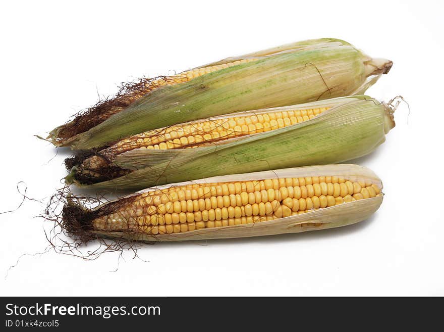 Young ripe fresh yellow corn in a green cob