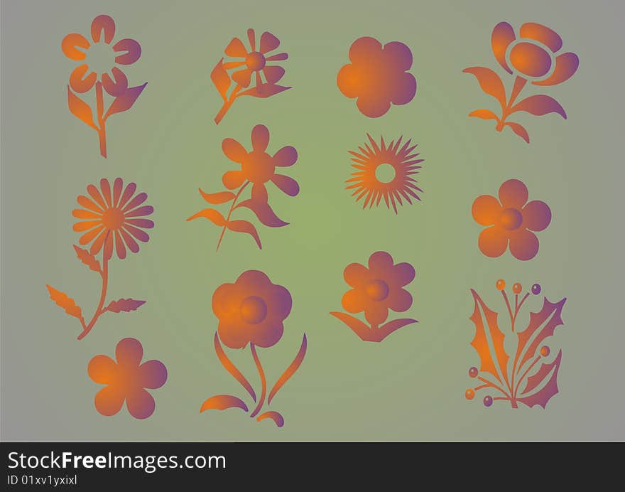 Vector graphic set with flowers illsutration