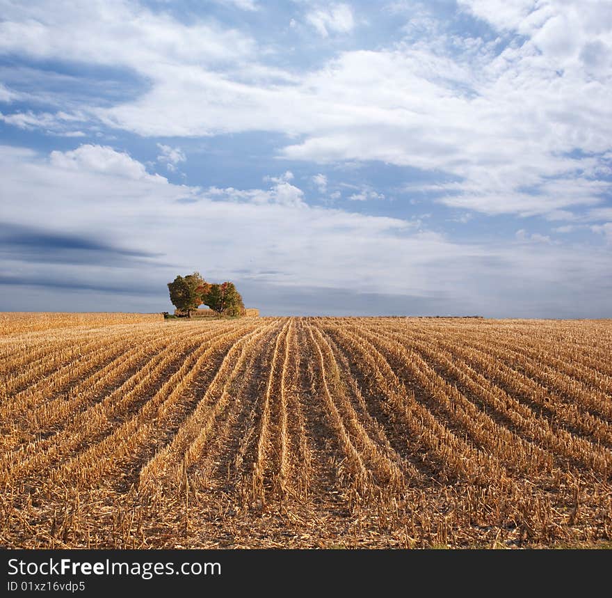 Sky over fields