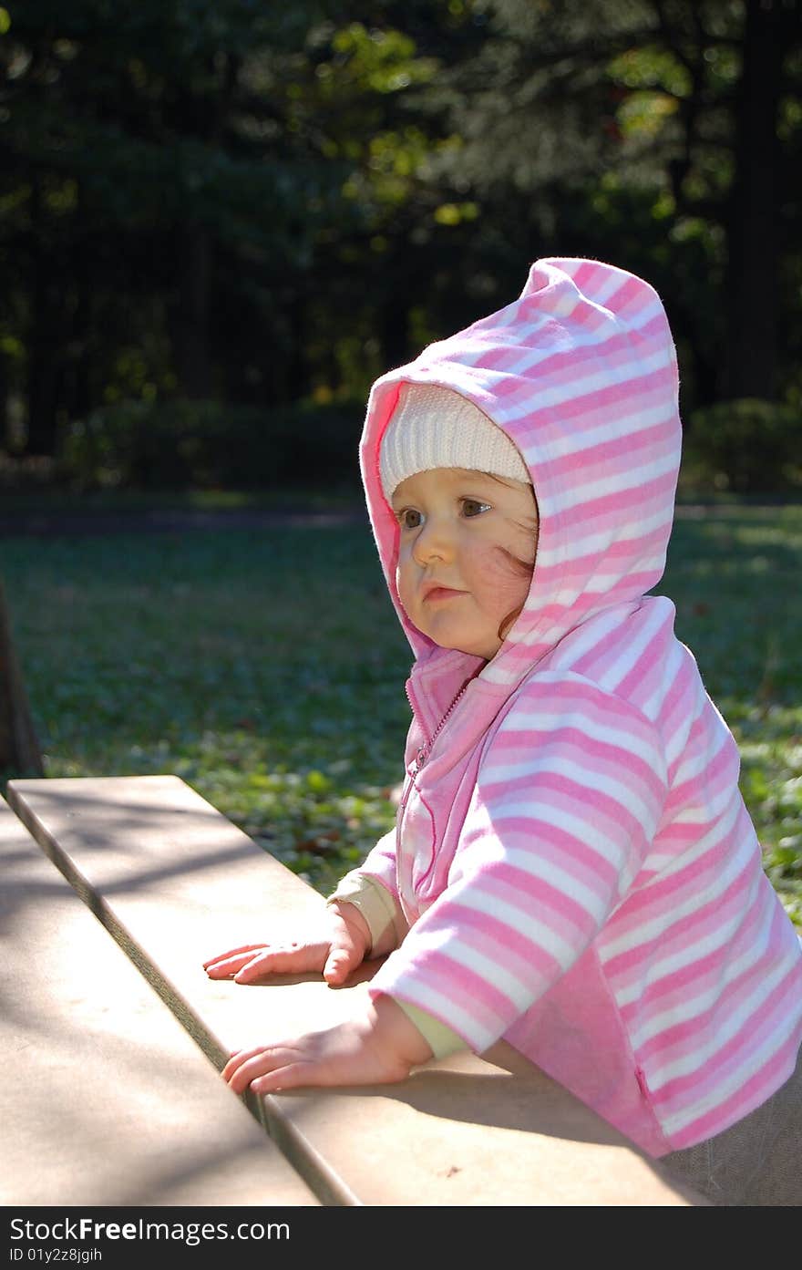 Little girl wearing a pink hood, enjoying the winter sun in a park. Little girl wearing a pink hood, enjoying the winter sun in a park