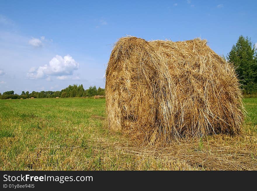 Hayrick On A Meadow