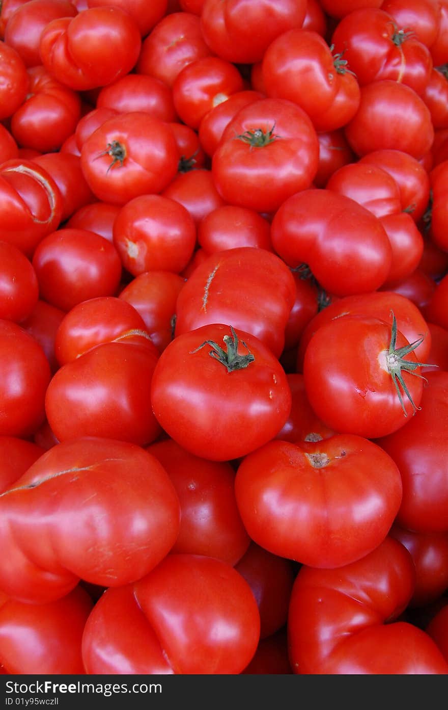 A huge collection of tomatoes. A huge collection of tomatoes