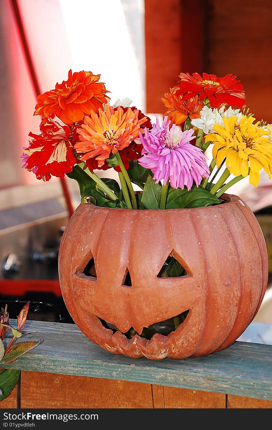 Pumpkin vase filled with colorful autumn flowers. Pumpkin vase filled with colorful autumn flowers