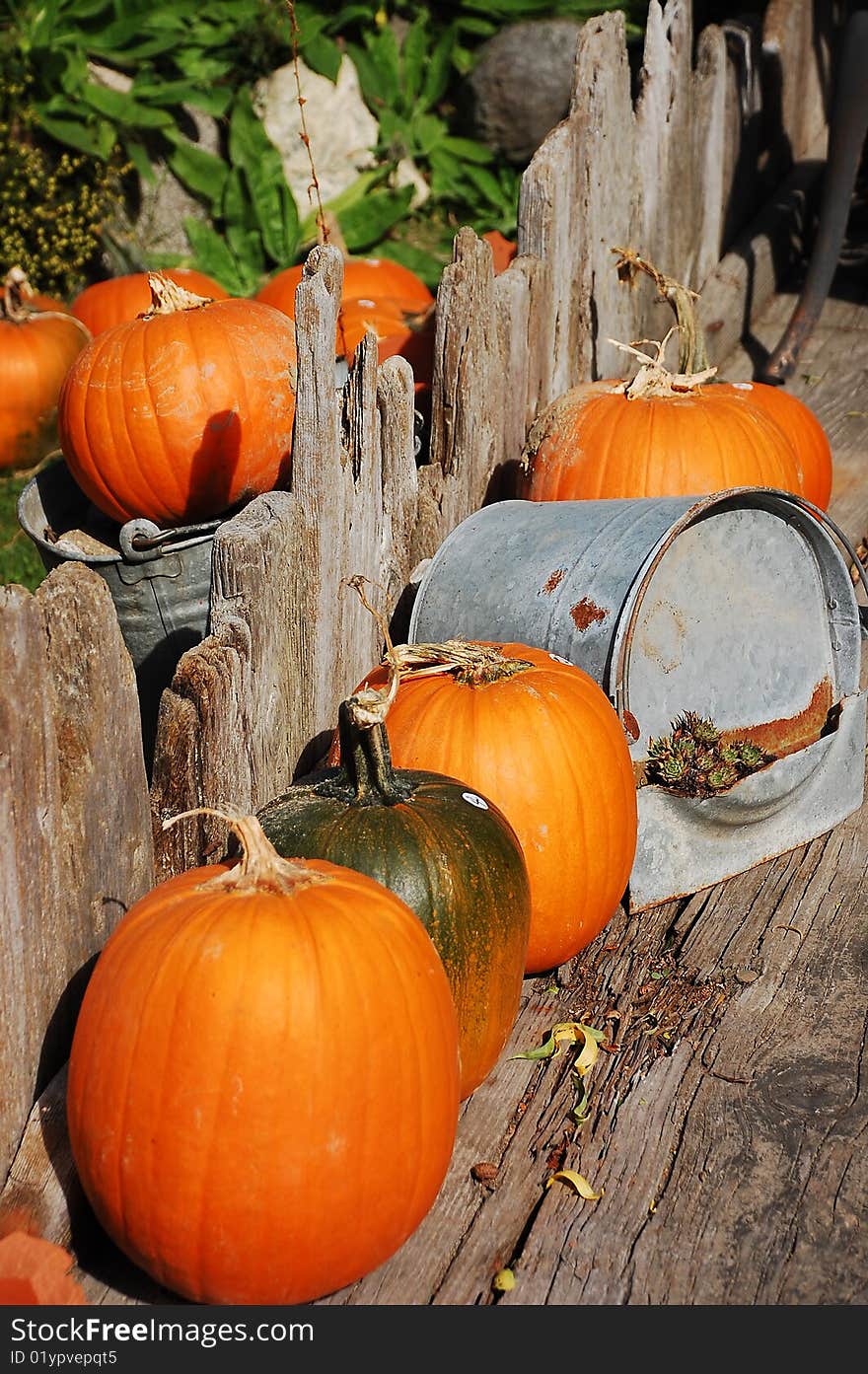 Decorative pumpkins on wooden patio. Decorative pumpkins on wooden patio