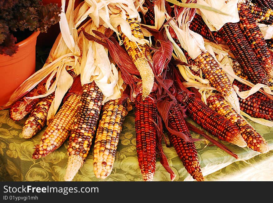 Decorative rainbow corn on the cob