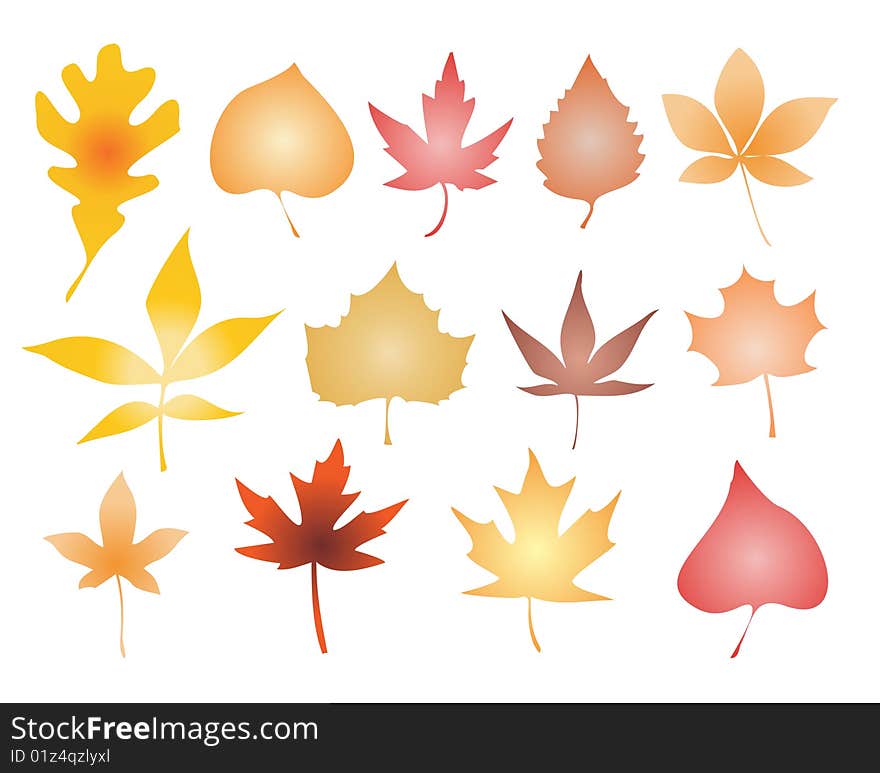 Vector Leaves Silhouette Set