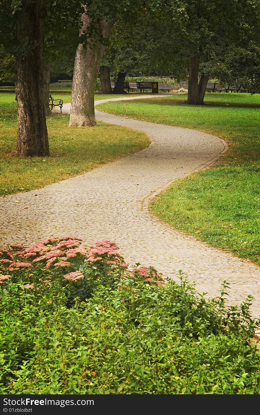 Curved paved path in green park with trees and flowers, background. Curved paved path in green park with trees and flowers, background.