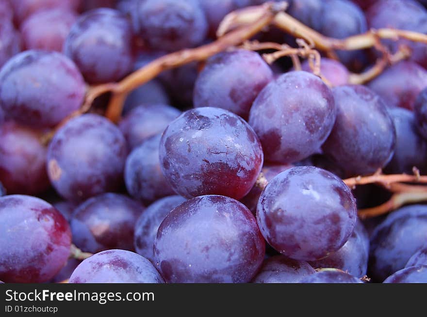 juicy grapes macro for making wine