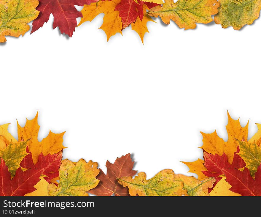 Mixed-Leaf Frame