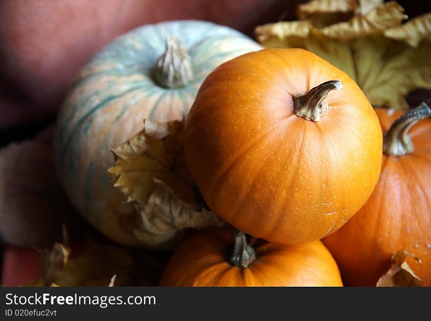 Autumn still life with pumpkins