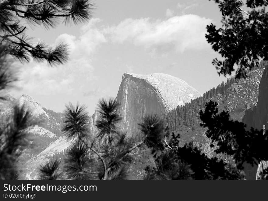 Half Dome in black and white framed by nature. Half Dome in black and white framed by nature.