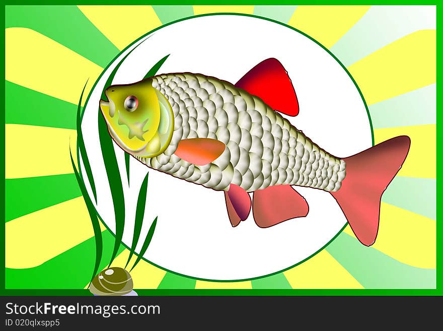 Colored illustration of fish