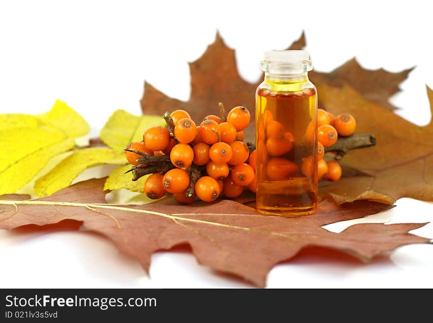 Berries of sea-buckthorn berries and medical oil